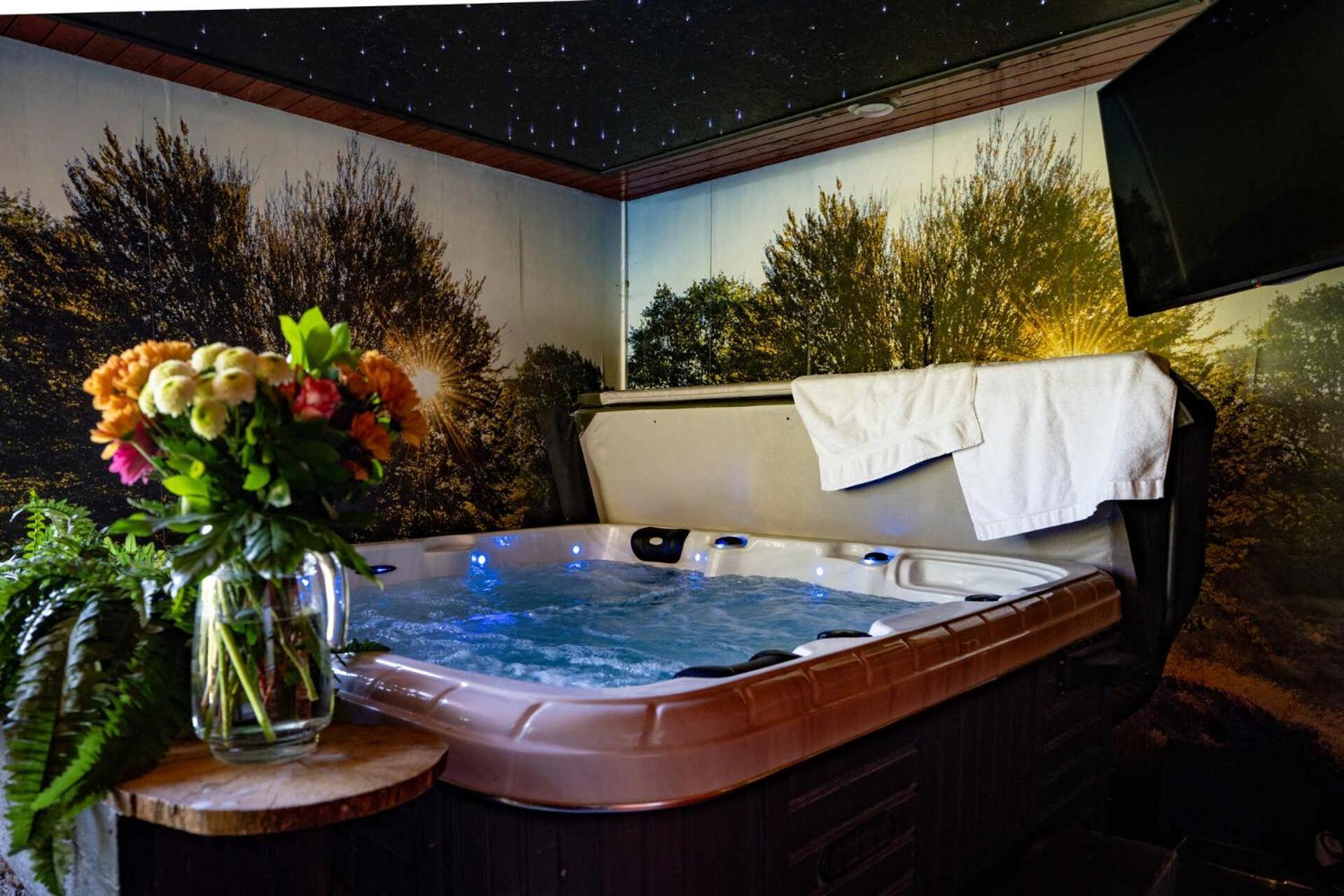 Drents Genieten - Dopheide Met Prive Jacuzzi En Sauna Erm Dış mekan fotoğraf